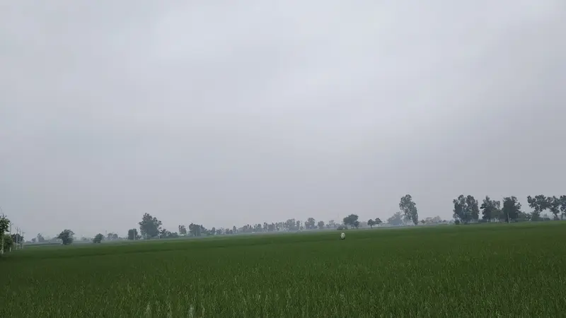 Weather Update: ਮੌਸਮ ਵਿਭਾਗ (IMD) ਨੇ ਪੰਜਾਬ, ਹਰਿਆਣਾ ਅਤੇ ਹਿਮਾਚਲ ਪ੍ਰਦੇਸ਼ ਵਿੱਚ 21 ਅਤੇ 22 ਜੁਲਾਈ ਲਈ ਭਾਰੀ ਮੀਂਹ, ਹੜ੍ਹਾਂ ਅਤੇ ਲੈਂਡਸਲਾਈਡ ਦੀ ਚੇਤਾਵਨੀ ਜਾਰੀ ਕੀਤੀ ਹੈ।