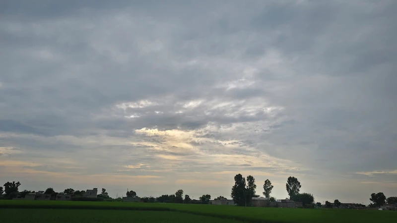 Punjab Weather Update: ਪੰਜਾਬ 'ਚ ਅੱਜ ਭਾਰੀ ਮੀਂਹ ਦਾ ਅਲਰਟ, 14 ਅਗਸਤ ਨੂੰ ਮੁੜ ਵਧੇਗੀ ਬਾਰਿਸ਼, ਜਾਣੋ ਮੌਸਮ ਵਿਭਾਗ ਦੀ ਤਾਜ਼ਾ ਭਵਿੱਖਬਾਣੀ!